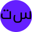 تیم سرپرستی