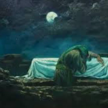 نفیسه عابدی فرد